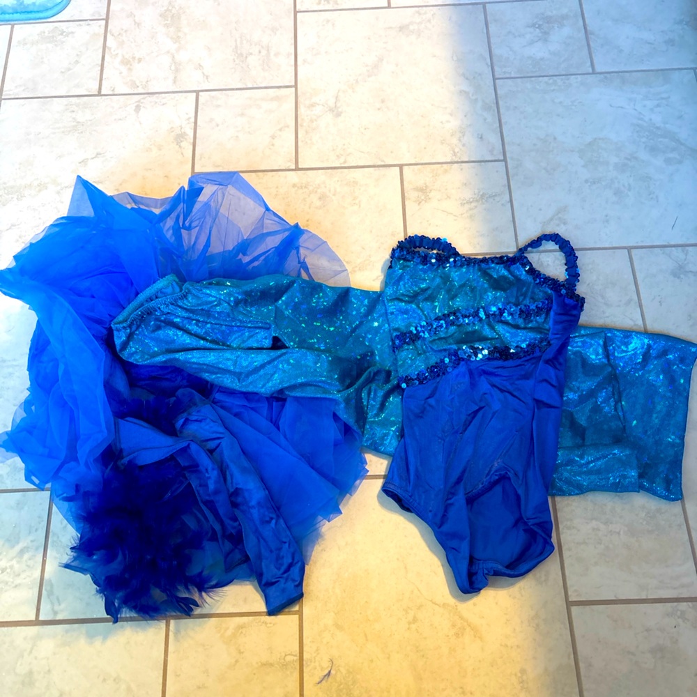 Costume Gallery Blue Dance Costume Child‎ medium